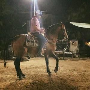 Meet your Posher, Ramon